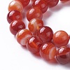 Natural Red Agate Beads Strands G-P434-09C-A-3