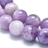 Natural Lepidolite/Purple Mica Stone Beads Strands G-M353-A01-10mm-3