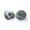Natural Moss Agate Cabochons G-F528-12-2