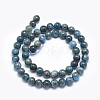 Natural Apatite Beads G-E481-05-8mm-2