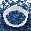 Baking Paint Glass Seed Beads X-SEED-S042-05B-75-2