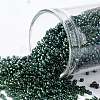 TOHO Round Seed Beads SEED-XTR15-0384-1
