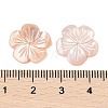 Natural Pink Shell Carved Beads SSHEL-I026-12C-03-3