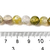 Dyed & Heated Natural Fire Crackle Agate Beads Strands G-P539-C01-01-5