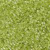 MIYUKI Delica Beads SEED-J020-DB1888-3