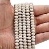 Natural Petrified Wood Beads Strands G-Z111-A37-2