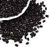 Picasso Spray Painted Glass Seed Beads SEED-T006-04-39-3