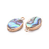 Electroplated Natural Abalone Shell/Paua Pendants SSHEL-T014-22-3