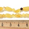 Natural Amber Beads Strands G-K387-C02-01-4