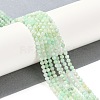 Natural Chrysoprase Beads Strands G-P542-A04-02-2