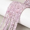 Natural Kunzite Beads Strands G-G343-B04-3mm-1