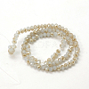 Electroplate Glass Faceted Rondelle Beads Strands EGLA-D020-3x2mm-64-2