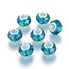 Handmade Glass European Beads LS-X-GPDL25Y-77-1