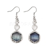 Hexagon Natural Fluorite Dangle Earrings EJEW-K298-01P-10-4