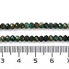 Natural Fuchsite Beads Strands G-G139-B13-01-5