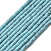 Dyed Synthetic Turquoise Beads Strands G-Z089-A04-F-2