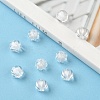Transparent Acrylic Beads X-TACR-S089-10mm-01-6