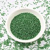 MIYUKI Delica Beads X-SEED-J020-DB0046-2