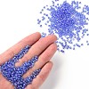 8/0 Round Glass Seed Beads SEED-US0003-3mm-166-4