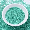 MIYUKI Delica Beads X-SEED-J020-DB0627-2