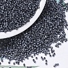 MIYUKI Delica Beads SEED-MY11-DB0306-1
