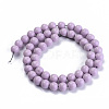 Natural Agate Beads Strands X-G-S286-06C-2