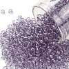 TOHO 8/0 Round Beads SEED-XTR08-1300-1