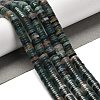 Natural Indian Agate Beads Strands G-G175-N06-01-1