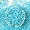 6/0 Luminous Glass Seed Beads SEED-NH0001-01N-3