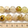 Faceted Natural Fire Crackle Agate Beads Strands G-F447-12mm-H01-5