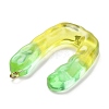 Resin Pendant FIND-Q107-01U-02-2