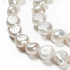Natural Cultured Freshwater Pearl Beads Strands PEAR-G007-06B-3