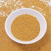 MIYUKI Delica Beads SEED-MY11-DB0651-2