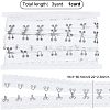 Steel Hook Buckles FIND-WH0082-91B-2