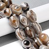 Natural Eye Agate Beads Strands G-NH0019-D03-03-4