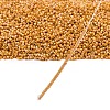 MIYUKI Delica Beads SEED-X0054-DB2303-4