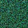 MIYUKI Round Rocailles Beads X-SEED-G009-RR0354-3