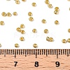 11/0 FGB Grade A Dyed Glass Seed Beads X-SEED-N001-C-0561-4
