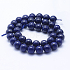 Natural Lapis Lazuli Beads Strands G-P342-01-10mm-A-2