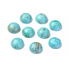 Natural Howlite Cabochons TURQ-L031-033B-01-1