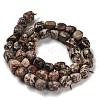 Natural Leopard Skin Jasper Beads Strands G-P497-01E-93-3