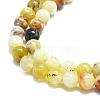 Natural Yellow Opal Beads Strands G-K245-A07-B03-3