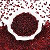 Picasso Spray Painted Glass Seed Beads SEED-T006-04-31-1