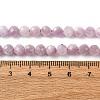 Natural Kunzite Beads Strands G-P587-B01-01-5