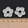 Transparent Glass Beads GLAA-F129-01N-3