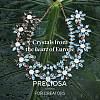 Preciosa® MAXIMA Crystal Fancy Stones X-PRC-FG8-40010-5