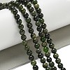 Natural Green Diopside Beads Strands G-K382-B01-01-2