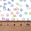 FGB Baking Paint Glass Seed Beads SEED-Q040-09A-M01-4