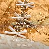 Preciosa® MAXIMA Crystal Round Stones X-PRC-RBSS39-60000-5