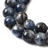 Natural Kyanite/Cyanite/Disthene Beads Strands G-G272-A01-10mm-4